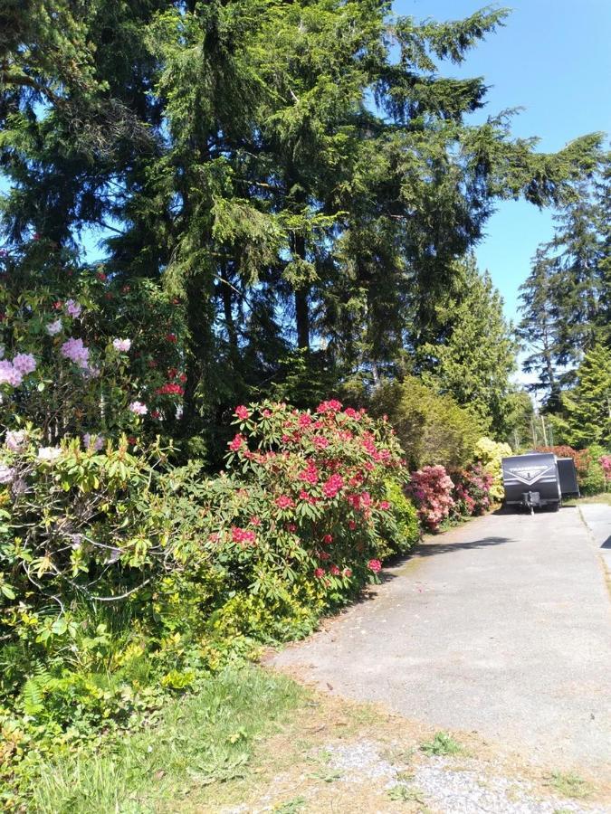 Dolphin Motel Tofino Exterior foto