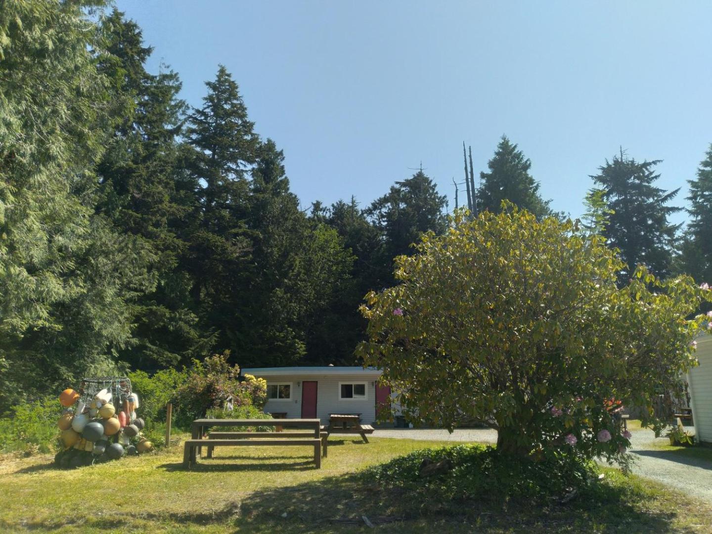 Dolphin Motel Tofino Exterior foto